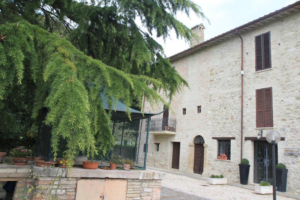 Hotel La Quiete Ασίζη Εξωτερικό φωτογραφία