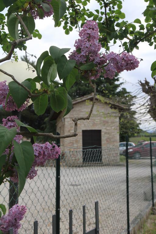 Hotel La Quiete Ασίζη Εξωτερικό φωτογραφία