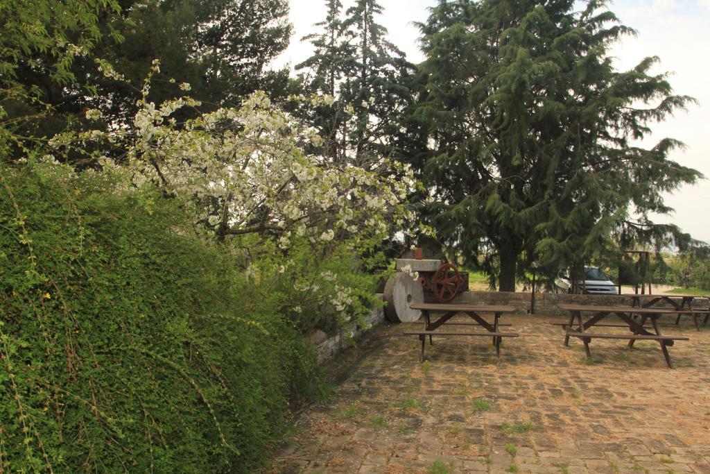 Hotel La Quiete Ασίζη Εξωτερικό φωτογραφία
